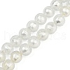 Handmade Silver Foil Glass Beads Strands FOIL-F002-01F-2