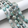 Natural Amazonite Beads Strand G-C116-A88-01-1