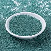 MIYUKI Round Rocailles Beads SEED-G007-RR1075-2