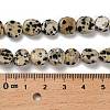 Natural Dalmatian Jasper Beads Strands G-P497-01E-80-5