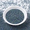 MIYUKI Round Rocailles Beads SEED-G007-RR0249-2