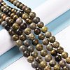 Natural Dendritic Jasper Beads Strands G-H1632-6MM-4