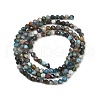 Natural Apatite Beads Strands G-RM2025-A32-3mm-3
