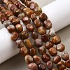 Natural Petrified Wood Beads Strands G-L621-C11-02-1