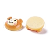 Resin Cabochons RESI-K013-05-3
