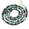 Natural African Turquoise(Jasper) Beads Strands G-T108-66-2