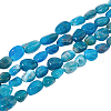  2 Strands Natural Apatite Beads Strands G-NB0004-27-1