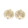 Tibetan Style Zinc Alloy Pendants TIBEP-EA11591YKG-AG-FF-2