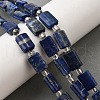 Natural Lapis Lazuli Beads Strands G-Z087-C01-1