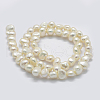 Natural Cultured Freshwater Pearl Beads Strands PEAR-K004-13C-2