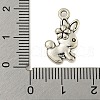 Tibetan style Alloy Pendants FIND-Z058-01AS-04-3