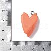 Resin Iron Pendants RESI-D280-06-3