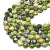 Natural Serpentine Beads Strands G-C116-A14-02-3