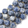 Natural Blue Spot Jasper Beads Strands G-U023-A05-01-2