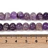Natural Amethyst Beads Strands G-Z080-B04-8x6mm-5