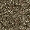 TOHO Round Seed Beads X-SEED-TR15-0998-2