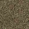 TOHO Round Seed Beads X-SEED-TR15-0998-2