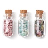 3Pcs Glass Wishing Bottle Decorations PALLOY-JF03096-1