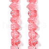 Transparent Glass Enamel Beads Strands GLAA-B021-05H-1