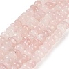 Natural Rose Quartz Beads Strands G-G053-C05-01-1