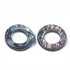 Abalone Shell/Paua Shell Bead Frames SSHEL-T008-17-2