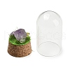 Natural Amethyst Nuggets Display Decoration with Glass Dome Cloche Cover DJEW-B009-03E-2