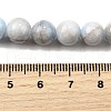 Natural Striped Stone Beads Strands G-D315-A01-01-10mm-5