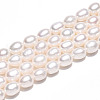 Natural Cultured Freshwater Pearl Beads Strands PEAR-N012-07X-01-2