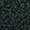 MIYUKI Round Rocailles Beads X-SEED-G007-RR0156F-3