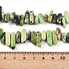 Natural Serpentine Beads Strands G-T140-62-5