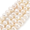 Natural Cultured Freshwater Pearl Beads Strands PEAR-C003-12B-2