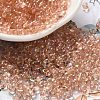 Glass Seed Beads SEED-K009-04A-03-1