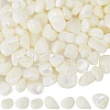 SUNNYCLUE 100Pcs Natural Trochid Shell/Trochus Shell Beads BSHE-SC0001-16C-1