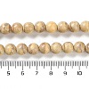 Natural Rainbow Alashan Agate Beads Strands G-NH0022-A05-02-5