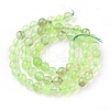 Natural Prehnite Beads Strands G-I250-01C-2