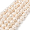 Natural Cultured Freshwater Pearl Beads Strands PEAR-P064-19L-05B-2
