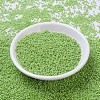 MIYUKI Round Rocailles Beads SEED-X0054-RR0479-2