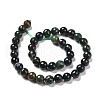 Natural Moss Agate Beads Strands G-E571-21C-3