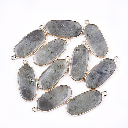 Natural Labradorite Pendants G-T112-23A-1