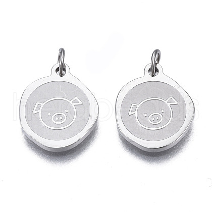 Non-Tarnish 304 Stainless Steel Charms STAS-N097-223P-1