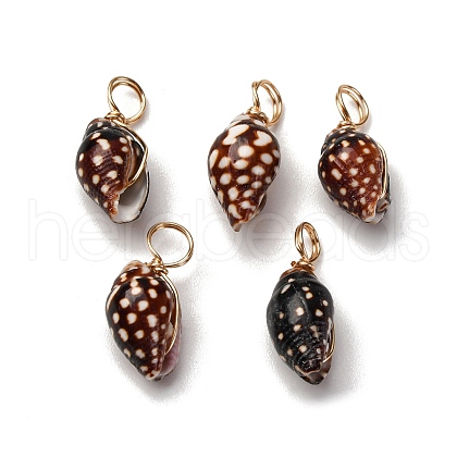 Spiral Shell Pendants PALLOY-JF02492-02-1