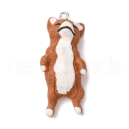 Opaque Resin Pendants CRES-D309-03P-B-1