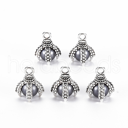 Tibetan Style Alloy Charms PALLOY-S120-249F-RS-1
