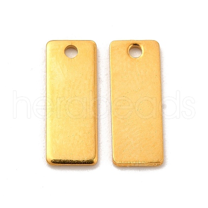 201 Stainless Steel Charms STAS-P320-24G-1