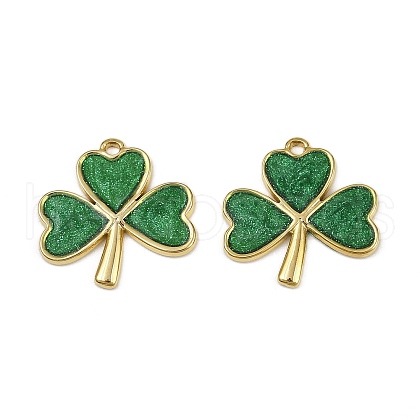 304 Stainless Steel Enamel Pendants STAS-L290-10G-1