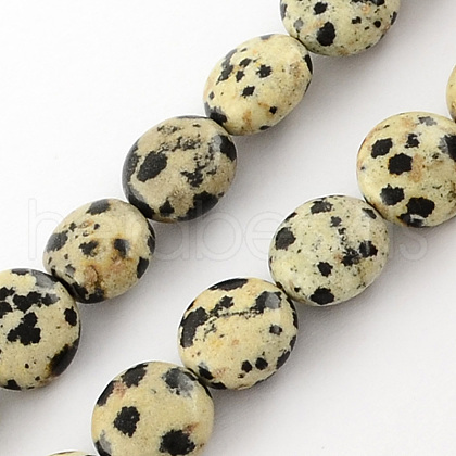 Natural Dalmation Jasper Bead Strands X-G-R189-14-1