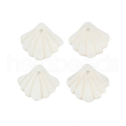 Natural Freshwater Shell Charms SHEL-K006-45A-1