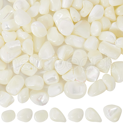 SUNNYCLUE 100Pcs Natural Trochid Shell/Trochus Shell Beads BSHE-SC0001-16C-1