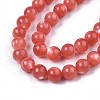 Natural White Shell Mother of Pearl Shell Beads Strands X-SSHEL-T012-06-3