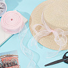 Polyester Organza Ribbons SRIB-WH20020-003A-04-4